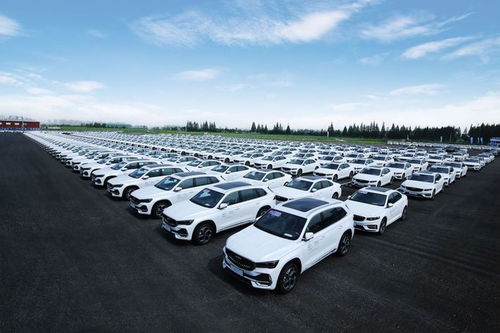 國內汽車代理新觀察 上海熱線模式與隨州地區汽車代理發展的啟示